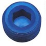 Pipe Plugs with allen socket head